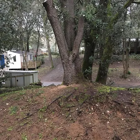 Mobilhome Familial 6 A 7 P 3 42 M2 Brevin Les Pierres Couchees *