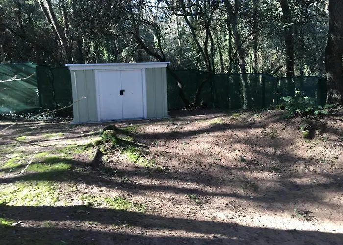 Mobilhome Familial 6 A 7 P 3 42 M2 Brevin Les Pierres Couchees