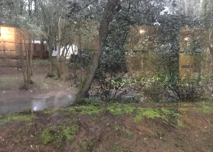 Mobilhome Familial 6 A 7 P 3 42 M2 Brevin Les Pierres Couchees Kemp