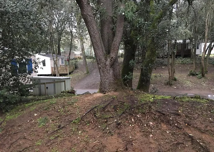 Mobilhome Familial 6 A 7 P 3 42 M2 Brevin Les Pierres Couchees *